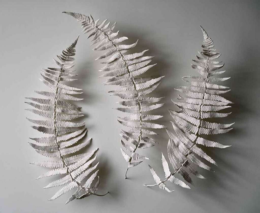 Zuleika Melluish, 'Fern', Thrown Gallery