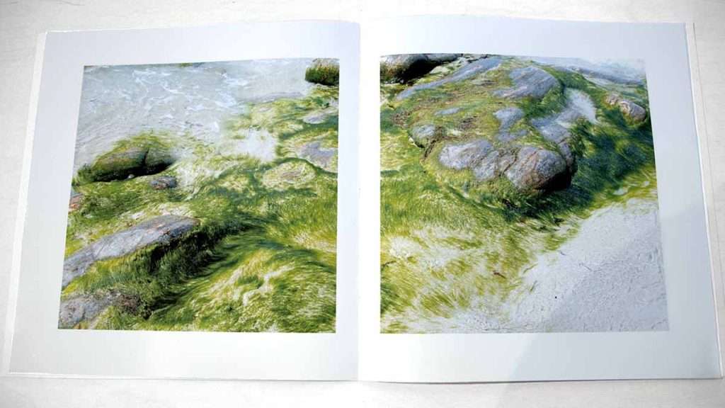 Helen Douglas, 'Verdant', inkjet print on Munken paper, card cover, hand stitched