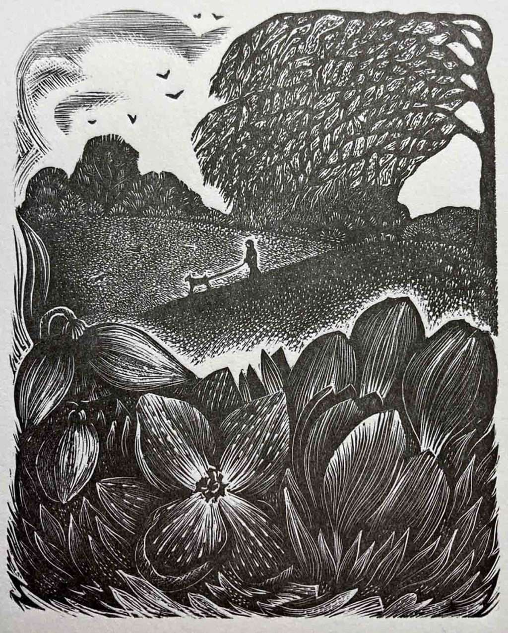 Masha Tiplady, 'Blossom by blossom', wood engraving