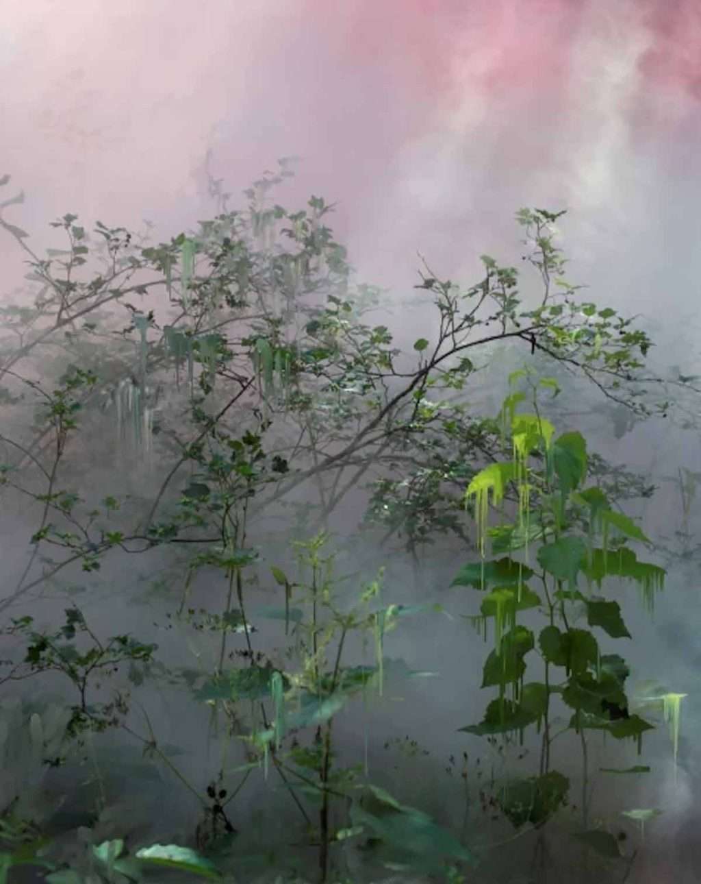 Sandra Kantanen, 'Forest 21', pigment print